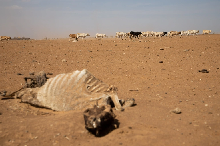 Drought crisis puts Horn of Africa ‘on the brink of catastrophe’