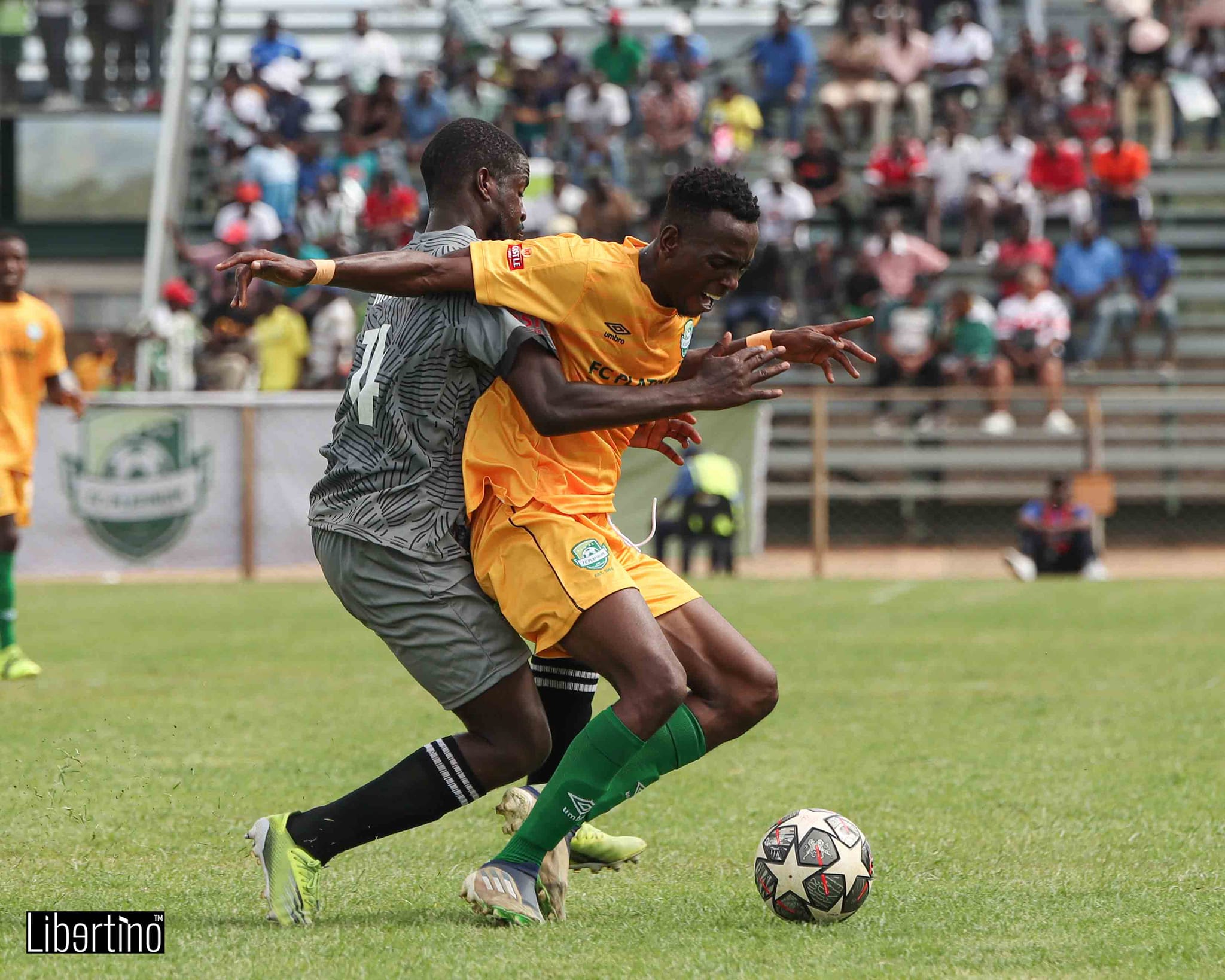 ZIM: CASTLE LARGER  LEAGUE TEAMS ARE OPTIMISTIC  OF  THE 2ND WEEK