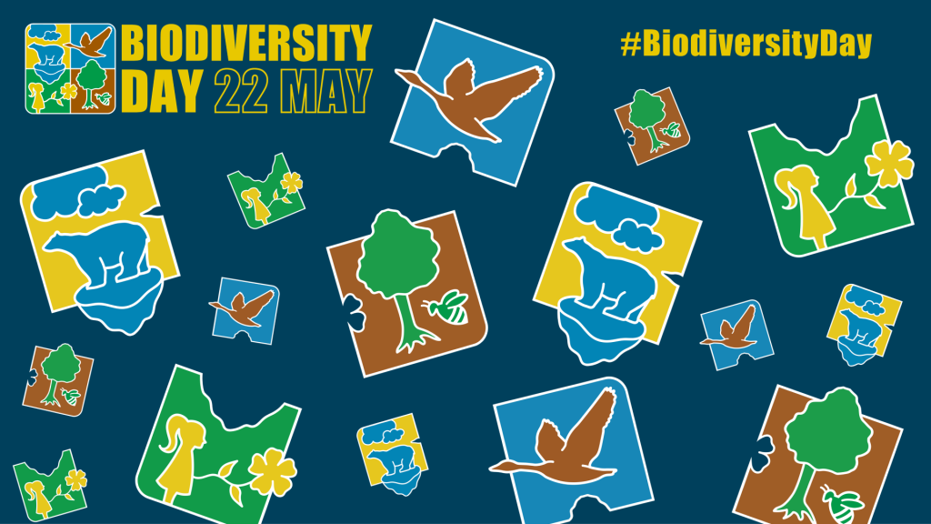 idb-virtual-background-1-1024x576 International Day for Biological Diversity