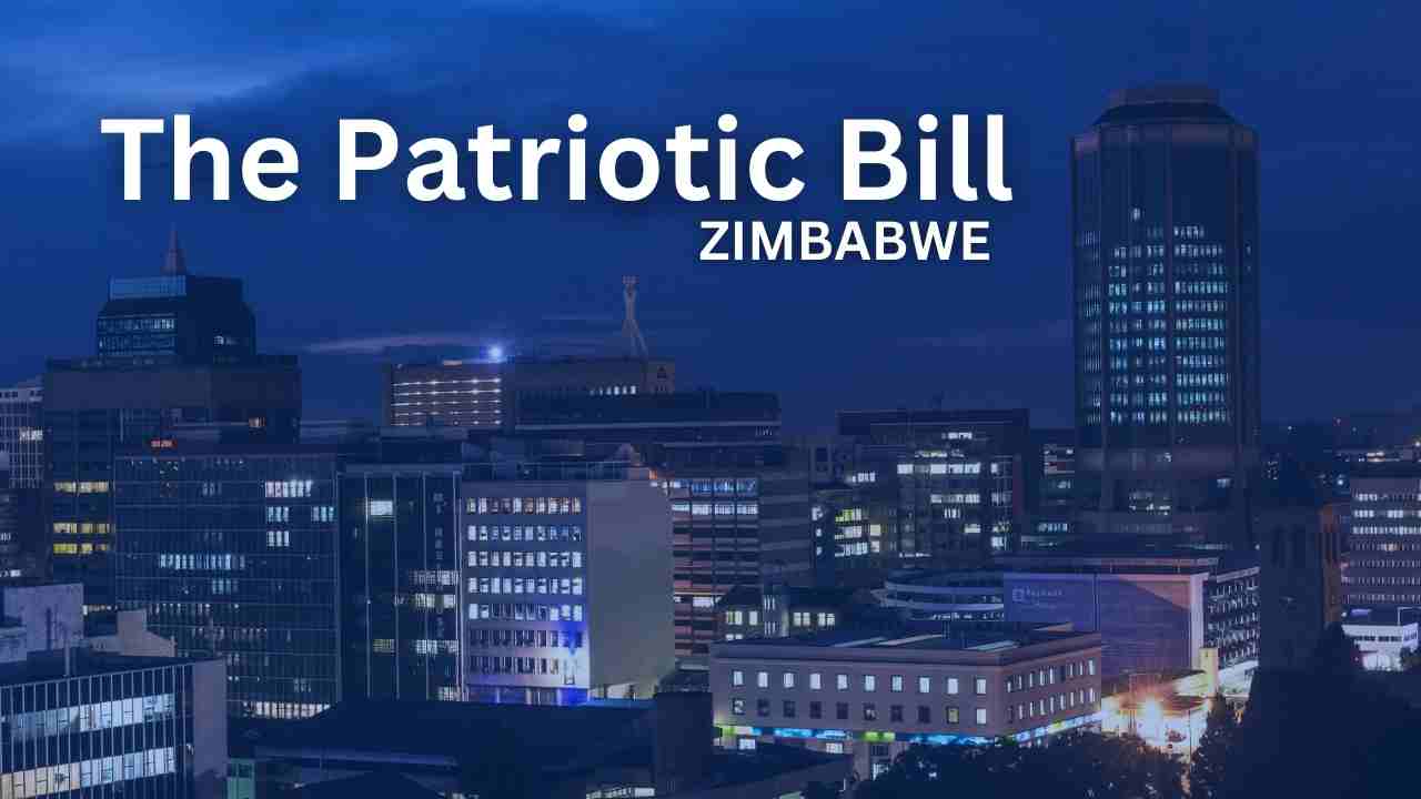 ZIM: Criticism arise over the new ‘Patriotic Bill’