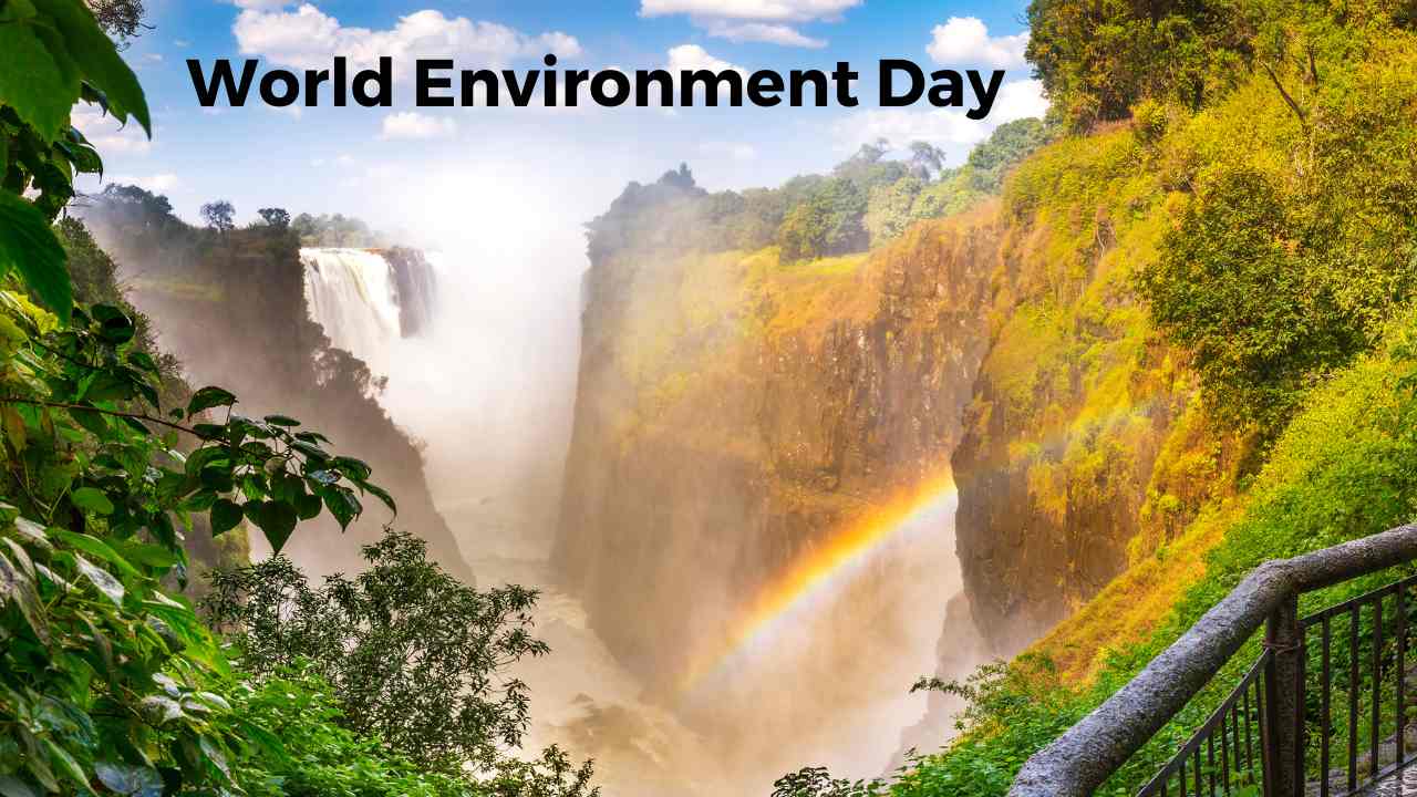 Zimbabwe celebrated World Environment Day