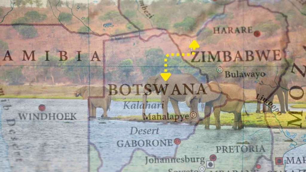 Banner-1-2-1024x577 Zim elephants migrating to Botswana as water scarcity increases