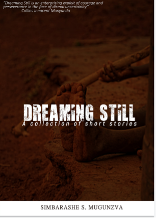 Picture1 Book Review: Dreaming Still: A collection of short stories by Simbarashe Simon Mugunzva