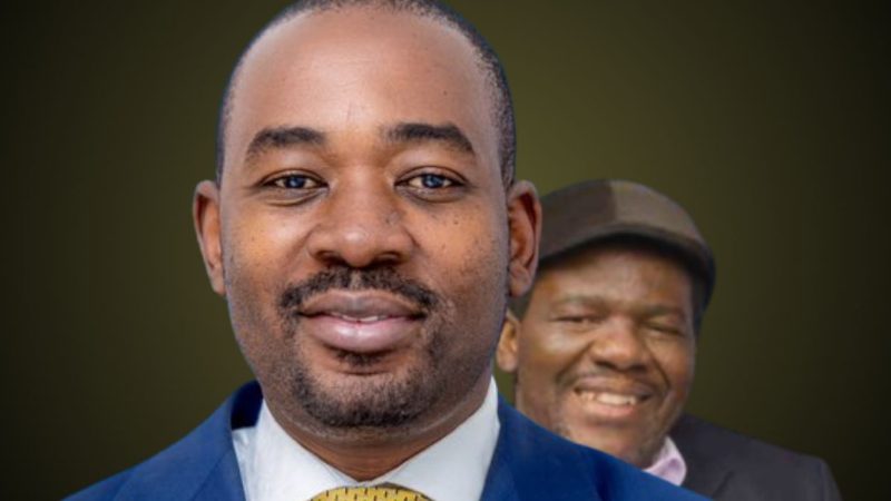 Chamisa’s favourites chopped  from the ballot paper