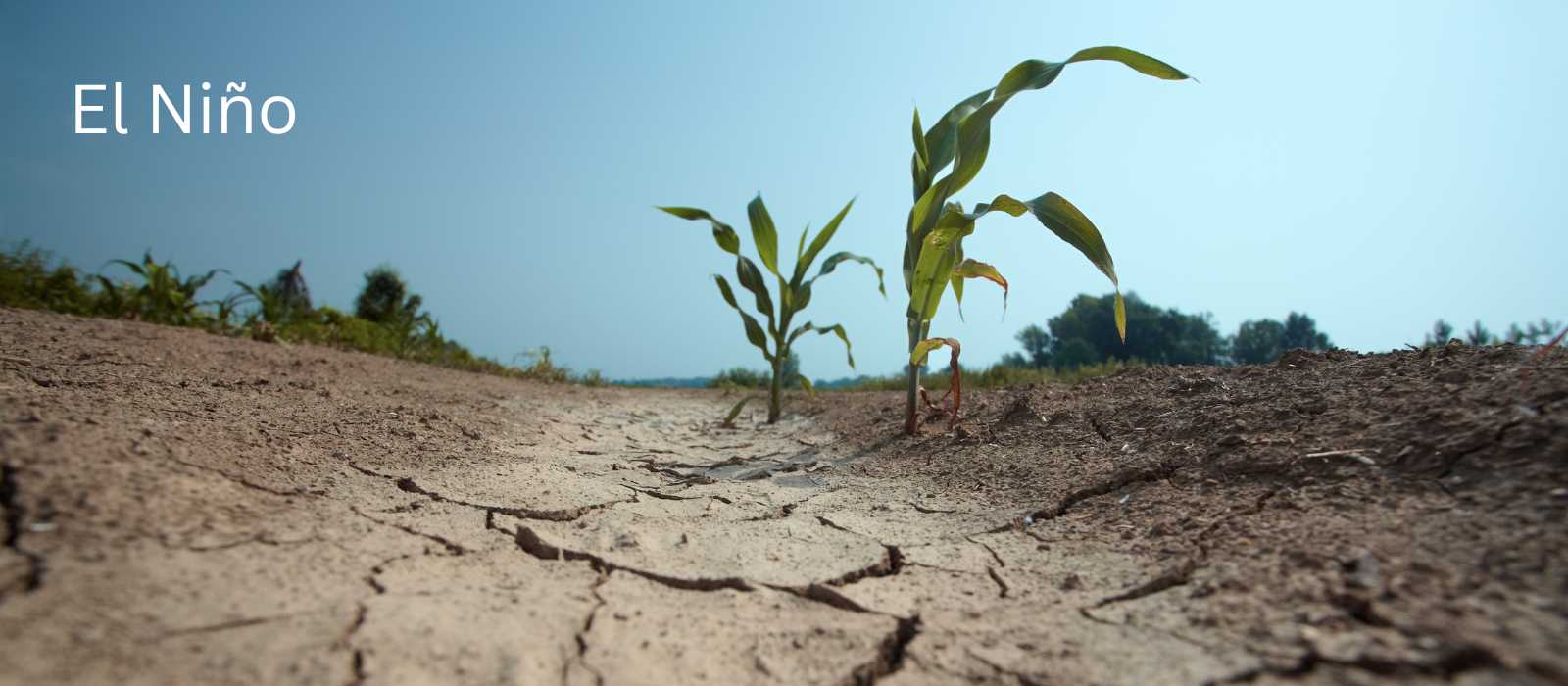Study attributes Southern Africa drought to El Niño, tot climate change