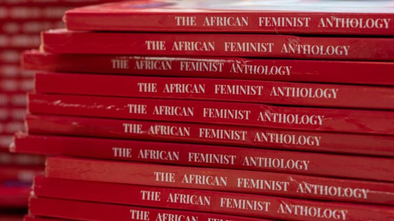 New anthology highlights African feminism