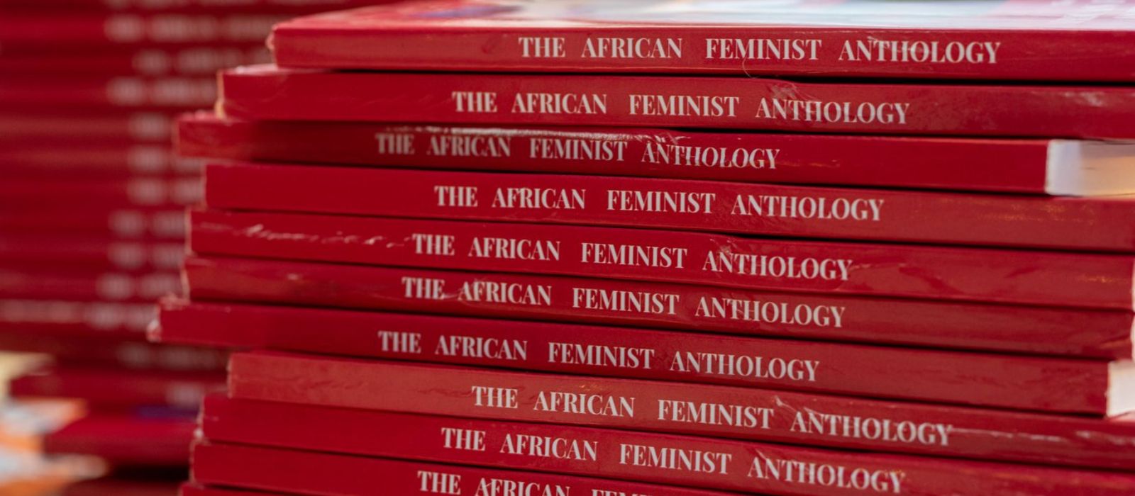 New anthology highlights African feminism