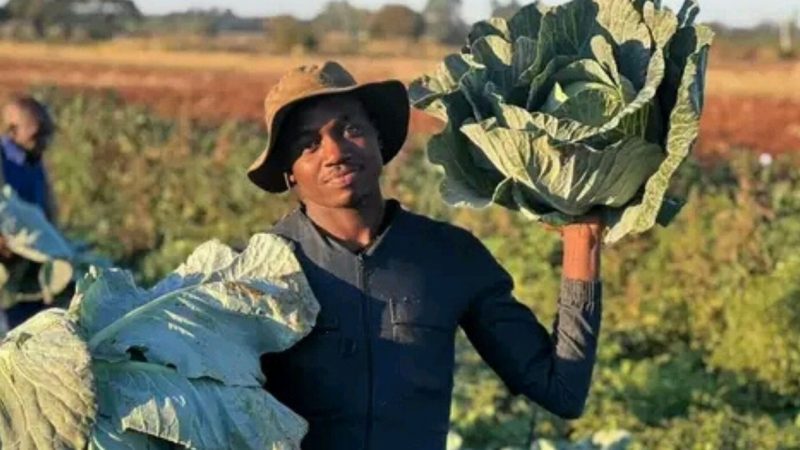 Tackling Climate Change and Challenges: An Exclusive Interview with Young Zimbabwean Farmer, Perfect Ngulube