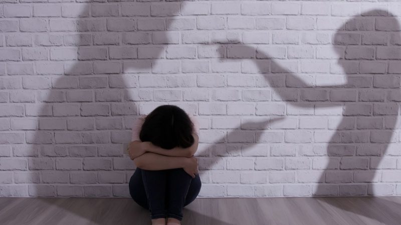 Gender-Based Violence remains a pervasive issue annually