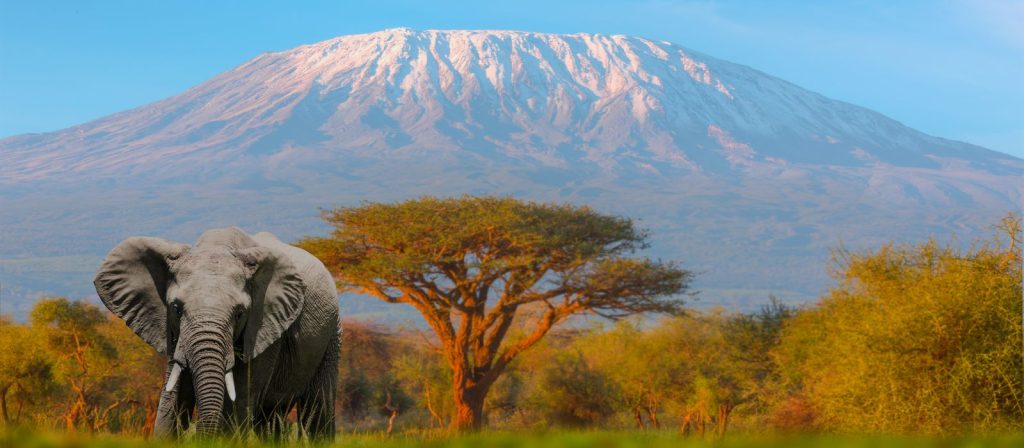 Website-Banner-1-13-1024x448 Tanzania: A Haven of Natural Beauty and Rich Culture