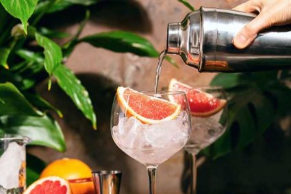 Tatenda Chiposi – The Pharmacist Who Distilled His Dreams into Gin