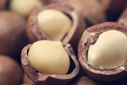 Kenya Eases Ban on Raw Macadamia Exports Amid Industry Changes