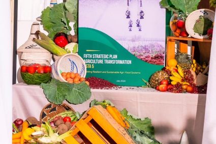 Rwanda Unveils Bold Plan to Modernize Agriculture and Secure Food Future