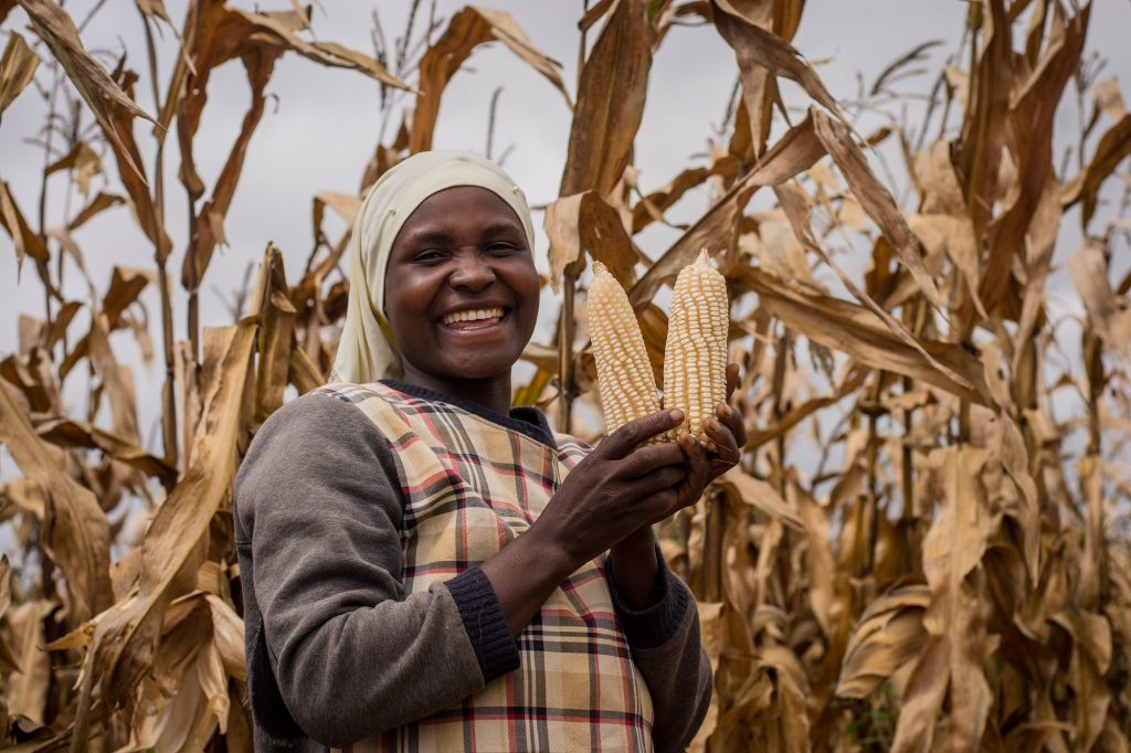 5-Mwanaidi-Mgabe-1024x682 Empowering Africa: Women Leading the Charge in Agricultural Growth and Transformation