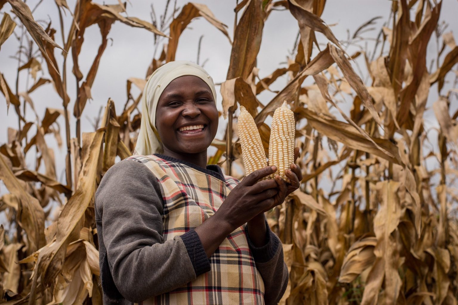 Empowering Africa: Women Leading the Charge in Agricultural Growth and ...