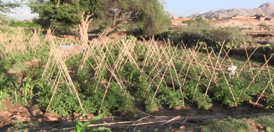 Erythree3 Transforming Dust into Life: How Eritrea’s Dams Are Revitalizing Rural Communities