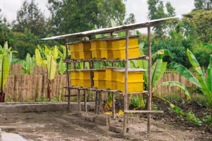 Ethiopia Expands Model Rural Villages to Transform Farmers’ Lives