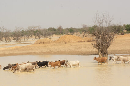 The Climate Action Window of the African Development Fund grants over $9 million to strengthen climate resilience in the Sahel’s main catchment basins