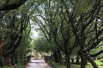 Local Memorials: The Heart of Community Bravery