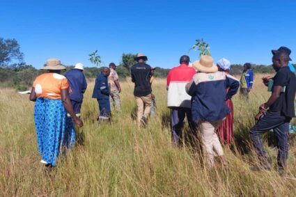 French Zimbabwe project shows how community led restoration drives food security