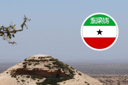 Somaliland’s Bid for Recognition: A New Horn of Africa Power Play 
